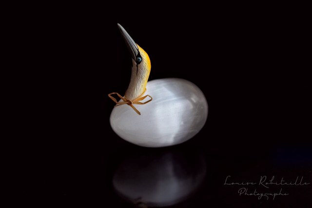 140842D2-7061-485A-A113-1E7F71592909