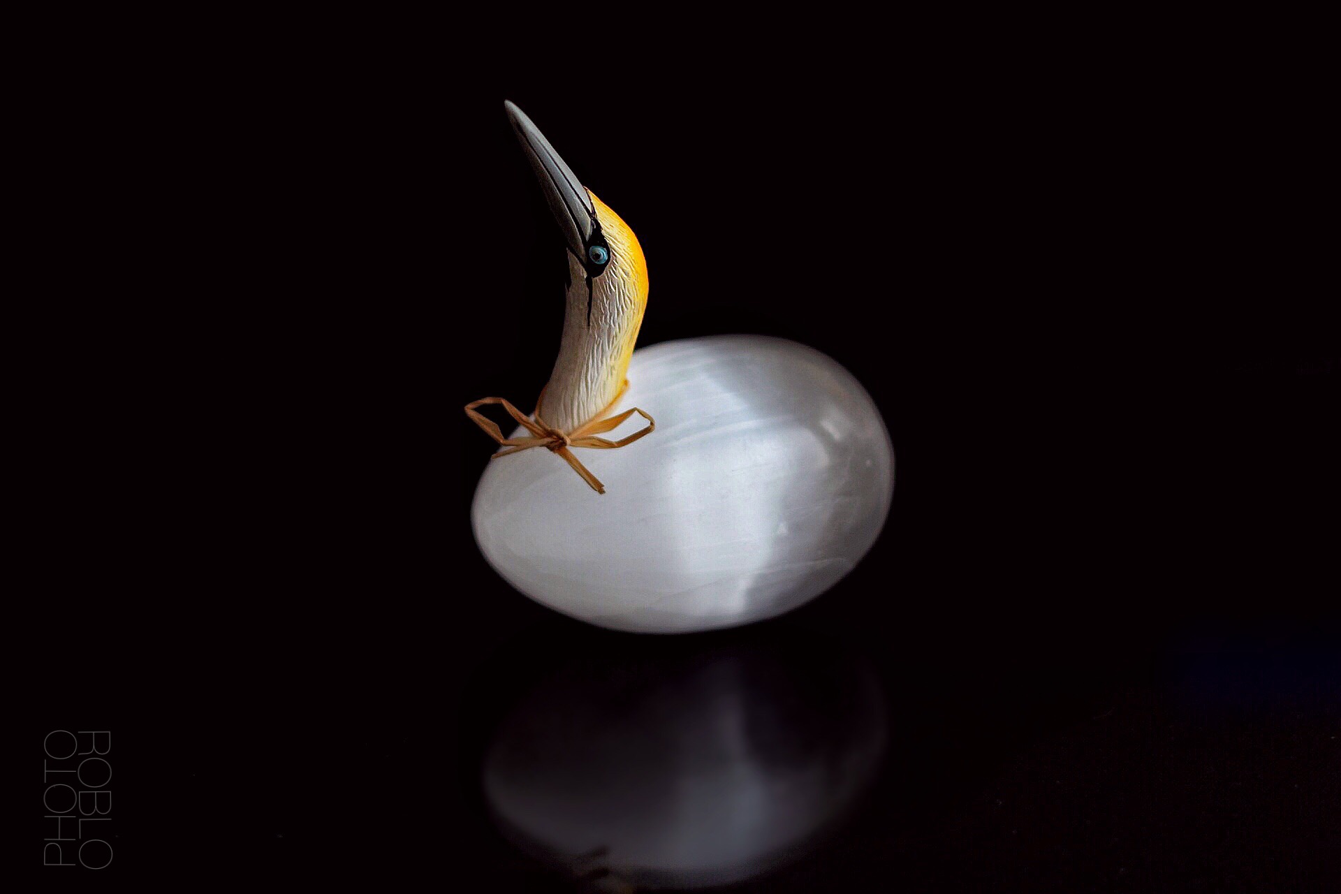 48D88BA2-63DE-4E3E-97DD-CEDBB40B3504