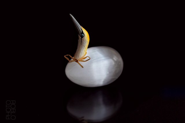 48D88BA2-63DE-4E3E-97DD-CEDBB40B3504