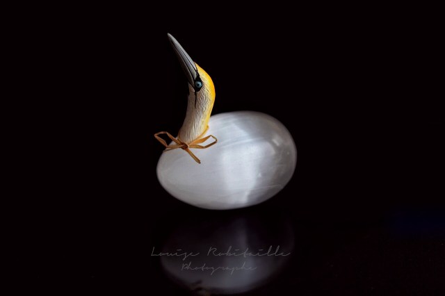 E723A325-E4DF-4407-AC9F-824F7A0656D9