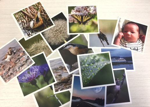 31BFEB25-93CD-44A4-96F7-9C4167866ACE