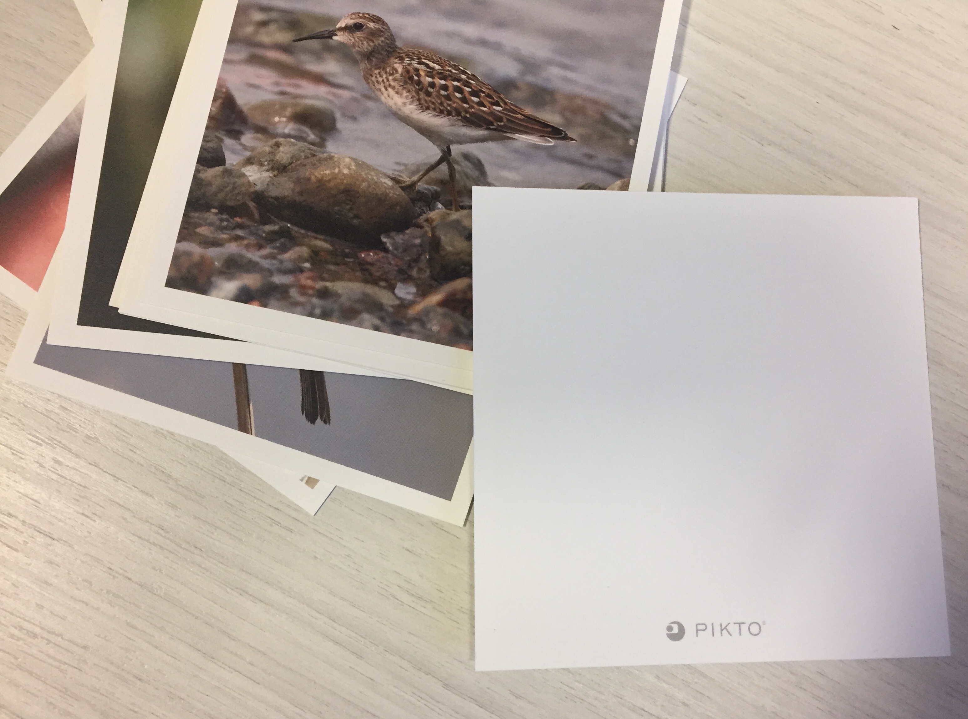 6E51506F-9937-45E0-B222-1A8061476A6C