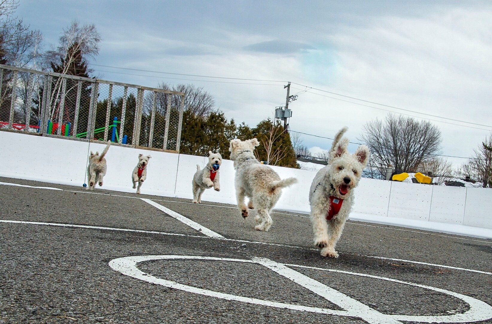 7DE2F753-0E14-4DC3-8601-D628ABB7638D