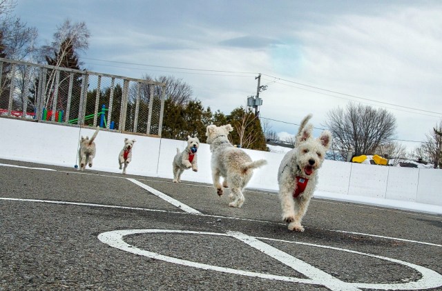 7DE2F753-0E14-4DC3-8601-D628ABB7638D